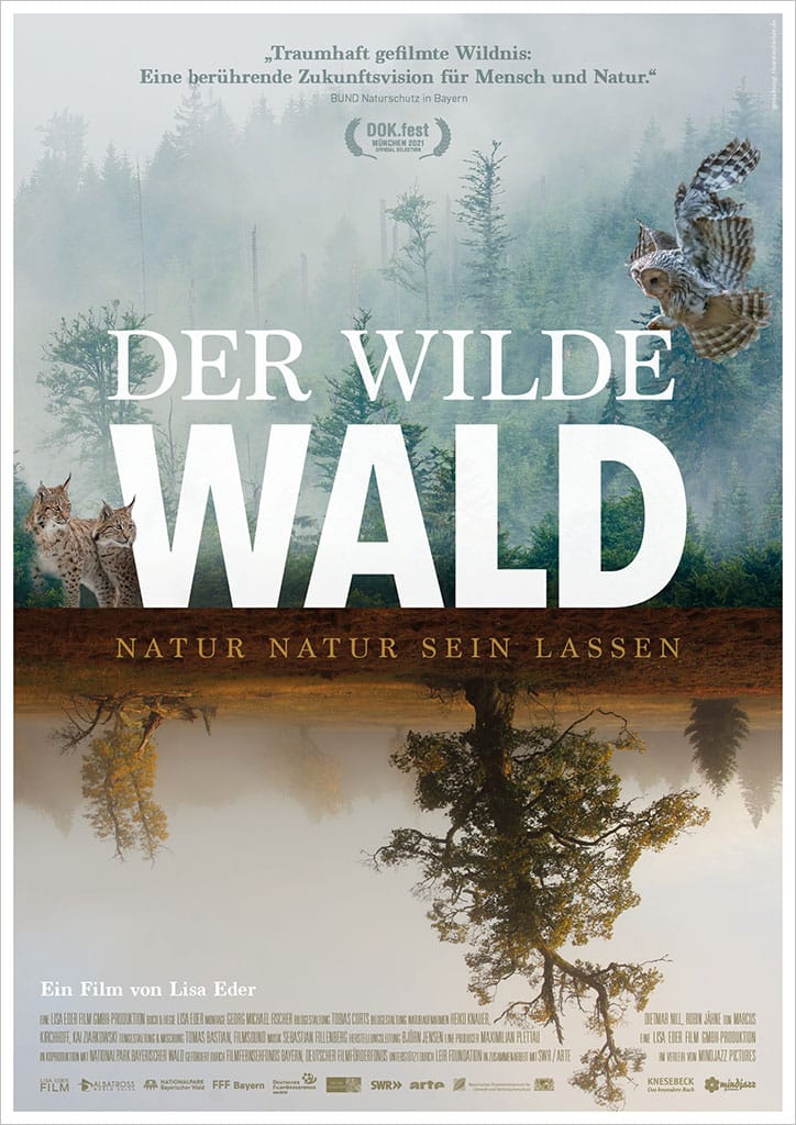 DER WILDE WALD – NATUR NATUR SEIN LASSEN