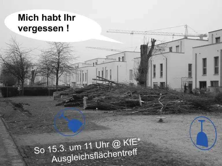 Ausgleichsflächentreff